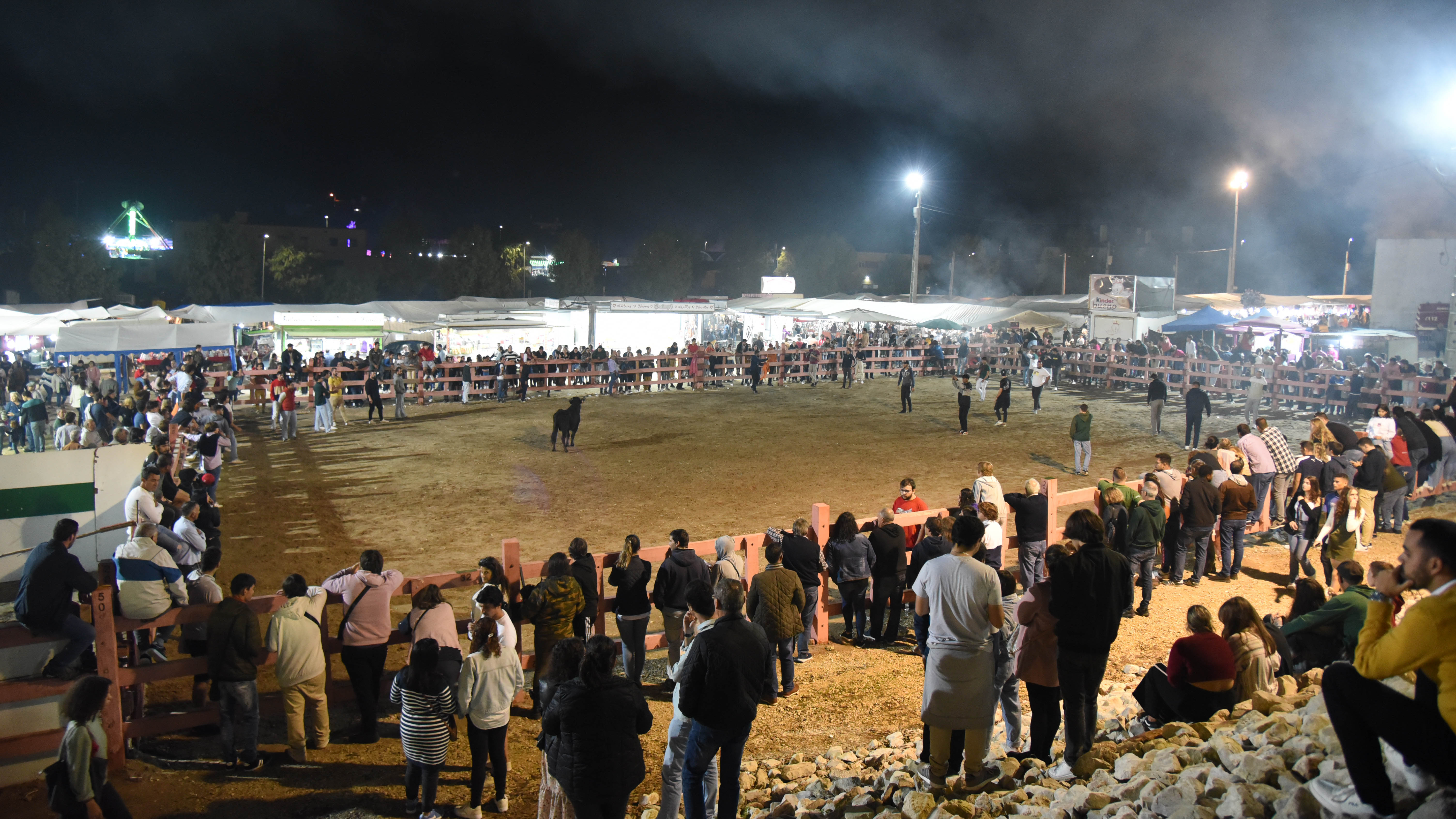 FEIRA DE TODOS OS SANTOS 2024 | CARTAXO - Entre os dias 31 de outubro e 03 de novembro, a cidade do Cartaxo recebe a Feira de Todos os Santos 2024 ​– uma das feiras tradicionais mais antigas do país e a ExpoCartaxo, no Pavilhão Municipal de Exposições e no Campo da Feira.