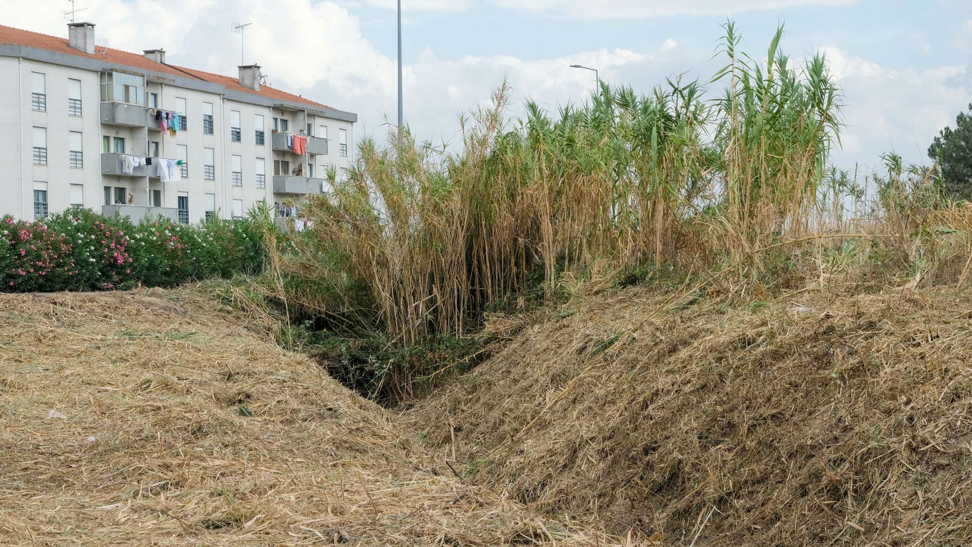 Câmara Municipal investe na limpeza de linhas de água